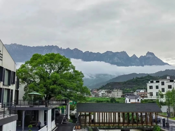 夏日民宿｜泳池、小溪、日出...在广信这些山间的绝美民宿里，住进20℃的夏天~