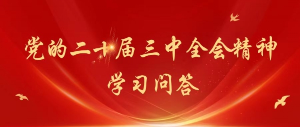 党的二十届三中全会精神 | 系列问答